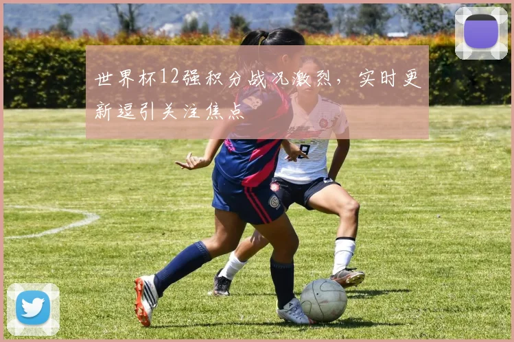 世界杯12强积分战况激烈，实时更新逗引关注焦点