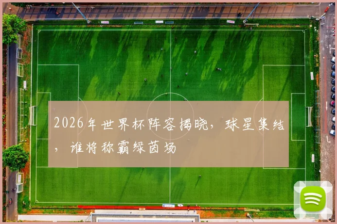 2026年世界杯阵容揭晓，球星集结，谁将称霸绿茵场