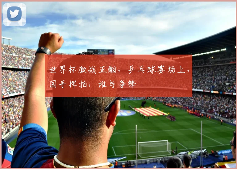 世界杯激战正酣，乒乓球赛场上，国手挥拍，谁与争锋