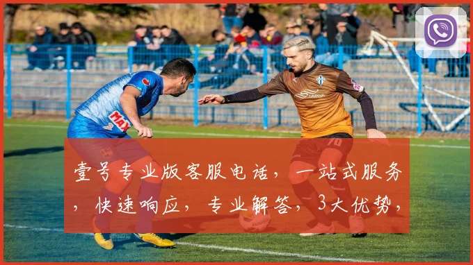 壹号专业版客服电话，一站式服务，快速响应，专业解答，3大优势，尽在壹号客服