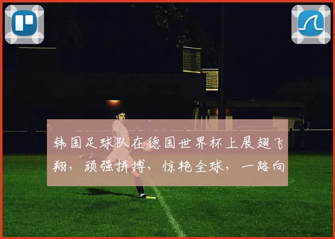 韩国足球队在德国世界杯上展翅飞翔，顽强拼搏，惊艳全球，一路向前