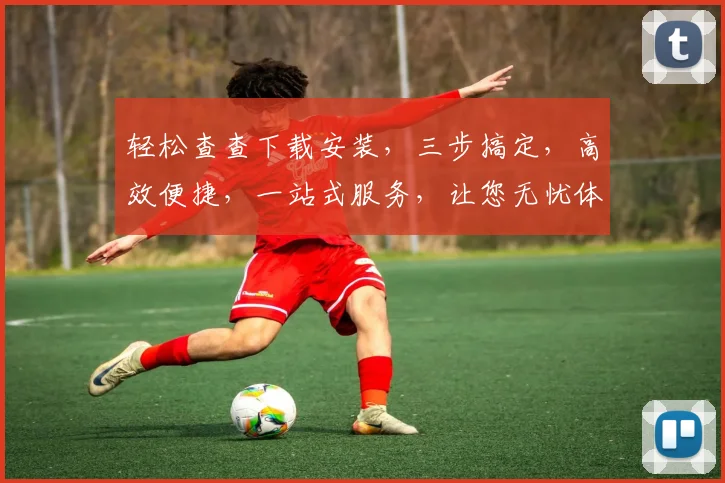 轻松查查下载安装，三步搞定，高效便捷，一站式服务，让您无忧体验